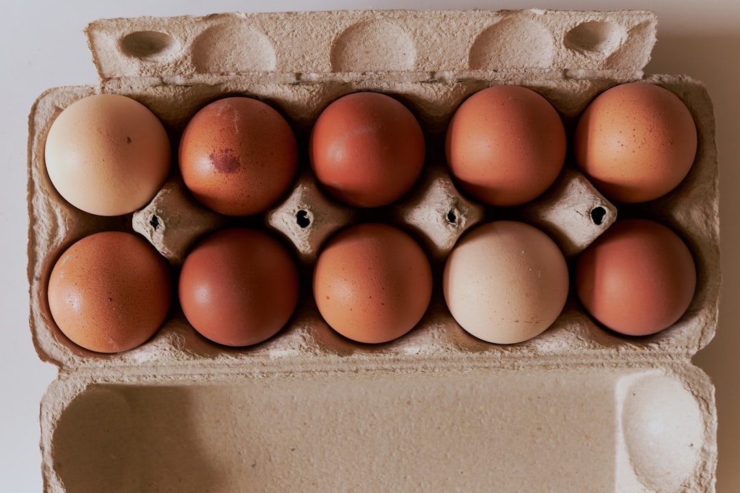 Eggs: The Complete Protein Champion (Image Credits: Unsplash)