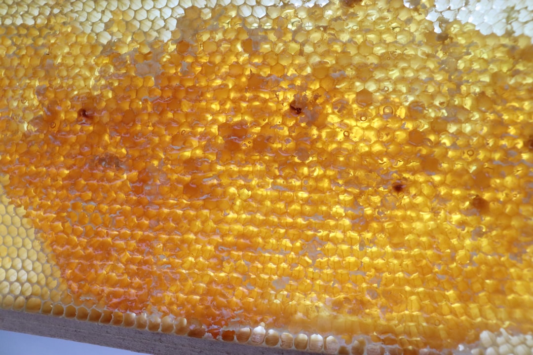 Honey (image credits: unsplash)