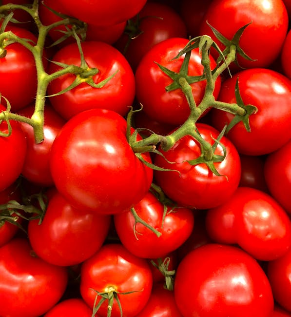 4. Tomatoes (image credits: pexels)