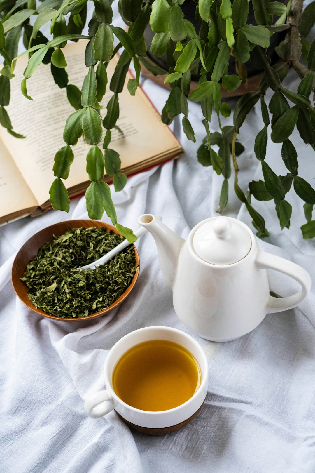 The Liquid Leaf Medicine (image credits: unsplash)