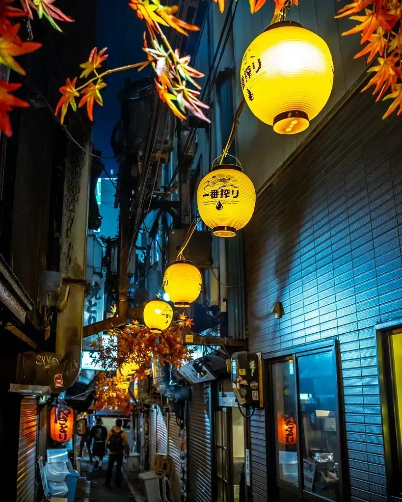 8. Japan: The Surprise Budget Destination of the Decade (_Franck Michel_, Flickr, CC BY 2.0)