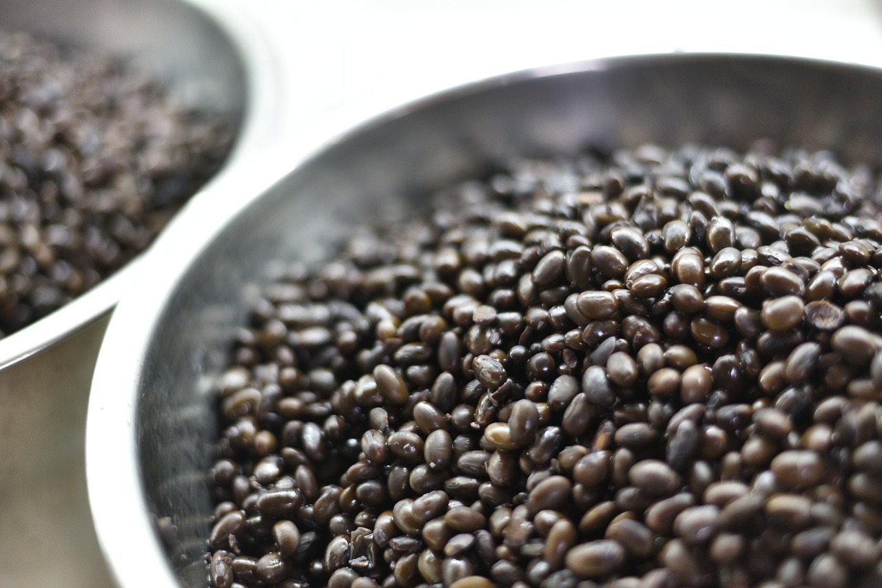 Black Soybeans (image credits: pixabay)