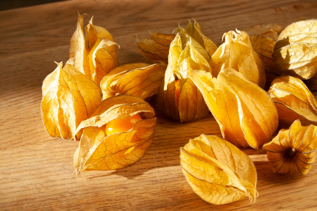 Ground Cherries: The Forgotten Superfruit (Image Credits: Unsplash)