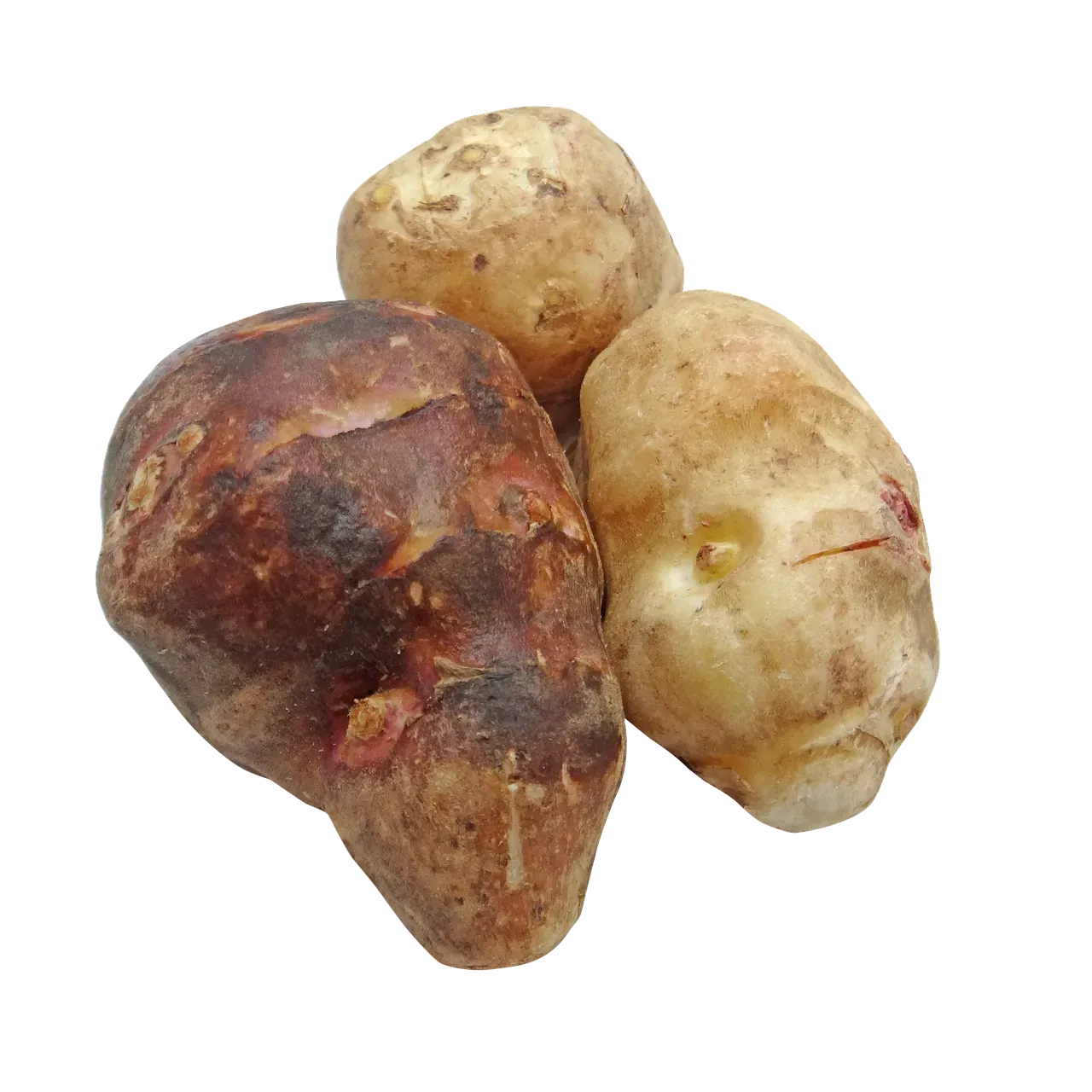 Jerusalem Artichoke: Smoky, Nutty, and Wildly Versatile (Image Credits: Pixabay)