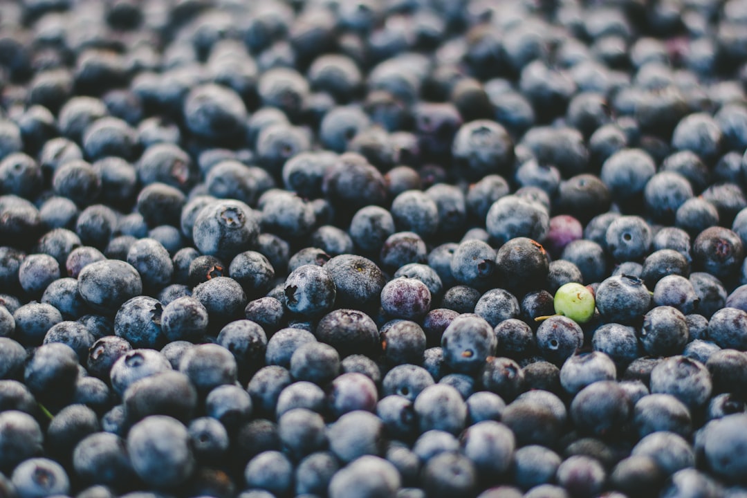 Blueberries: Nature’s Stress Busters (image credits: unsplash)