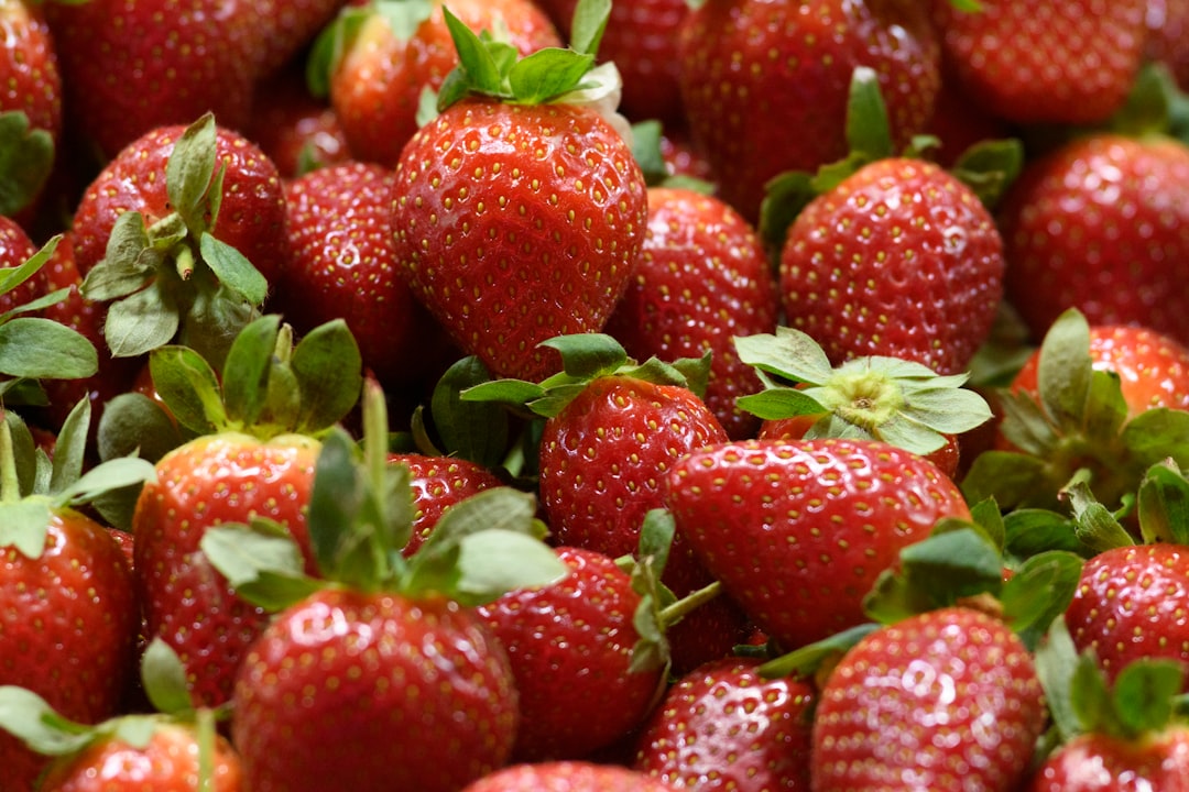 The Plant-Powered Foundation (Image Credits: Unsplash)