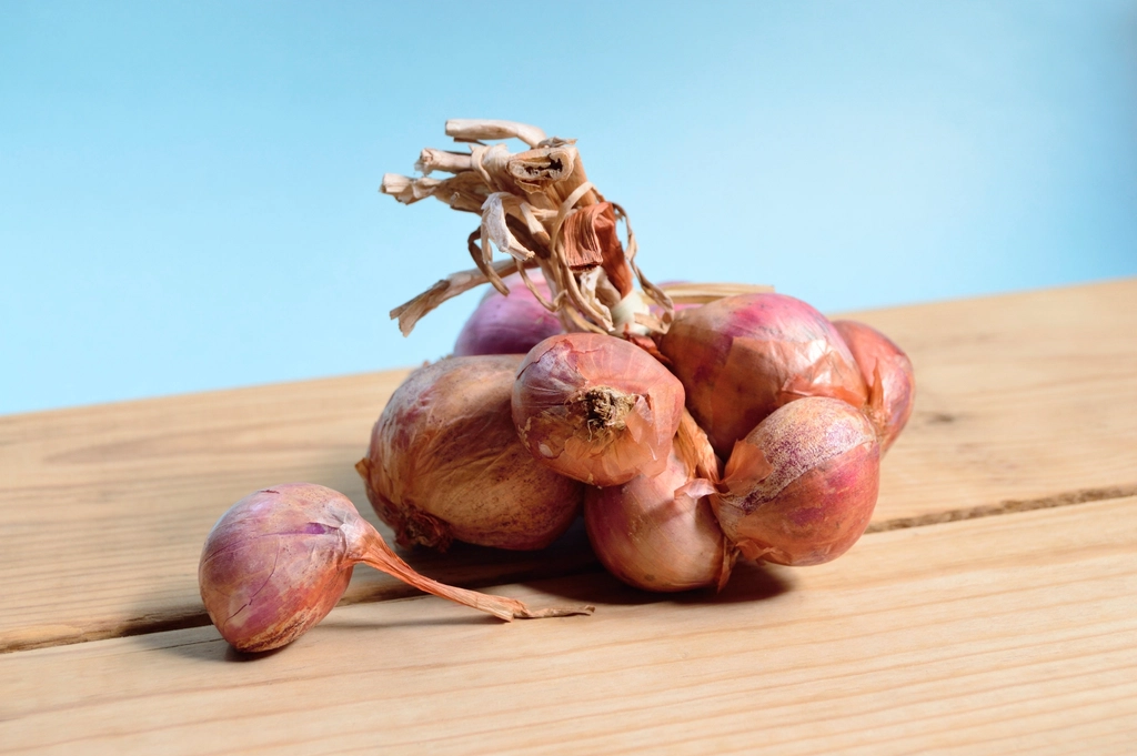 Shallots Instead of Onions (image credits: rawpixel)