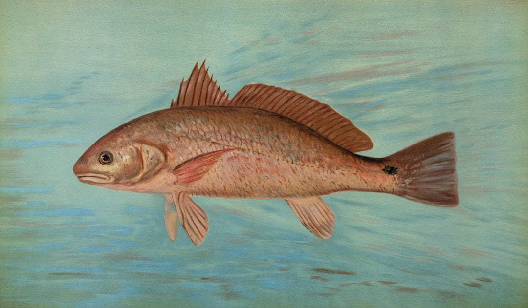 Asian Catfish: The Ultimate Shape-Shifter (image credits: unsplash)