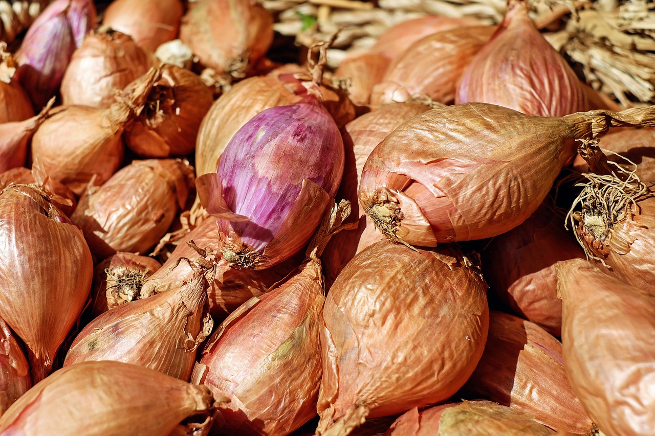 They Use Shallots Instead of Regular Onions (image credits: pixabay)
