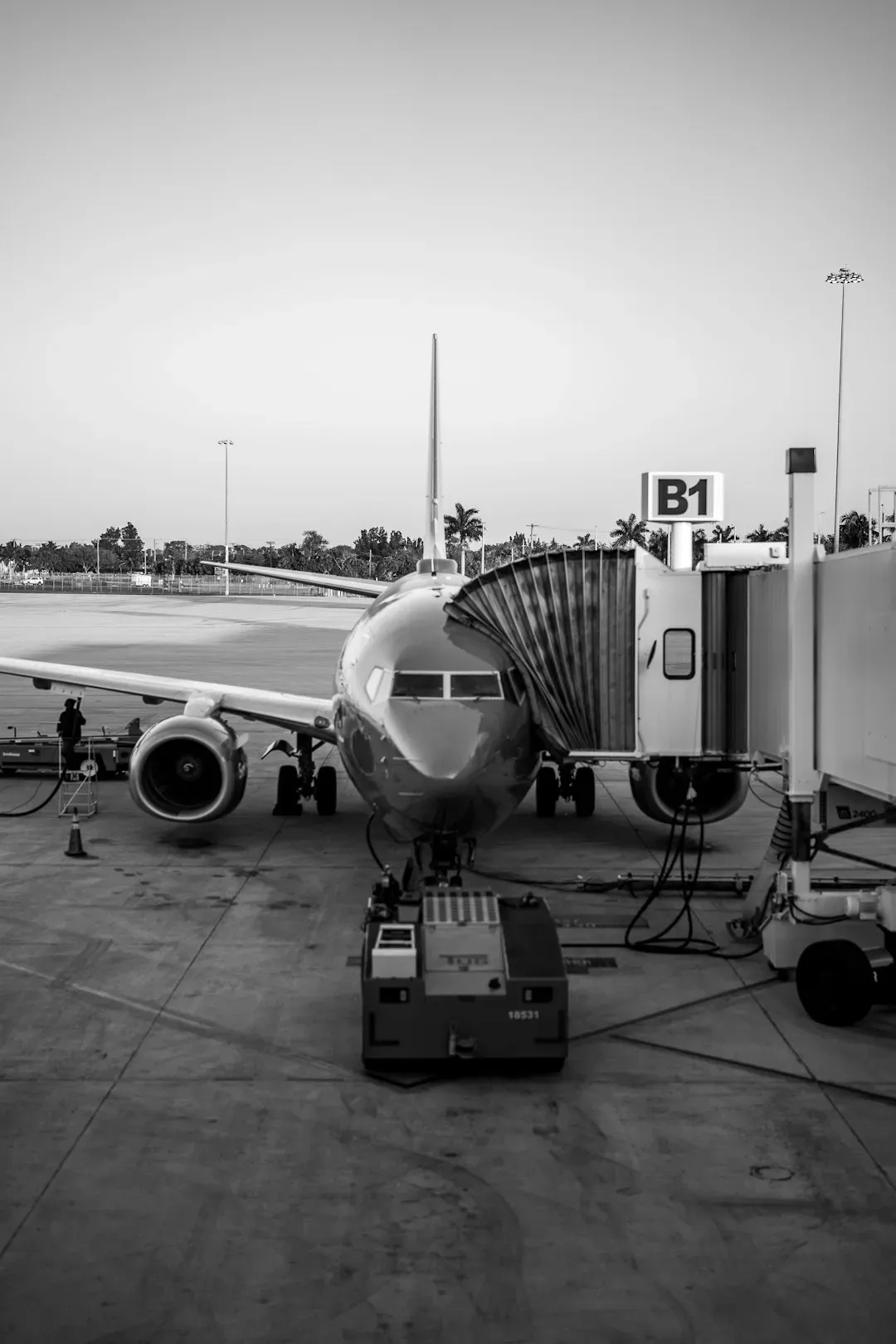 Airline Baggage (Image Credits: Unsplash)