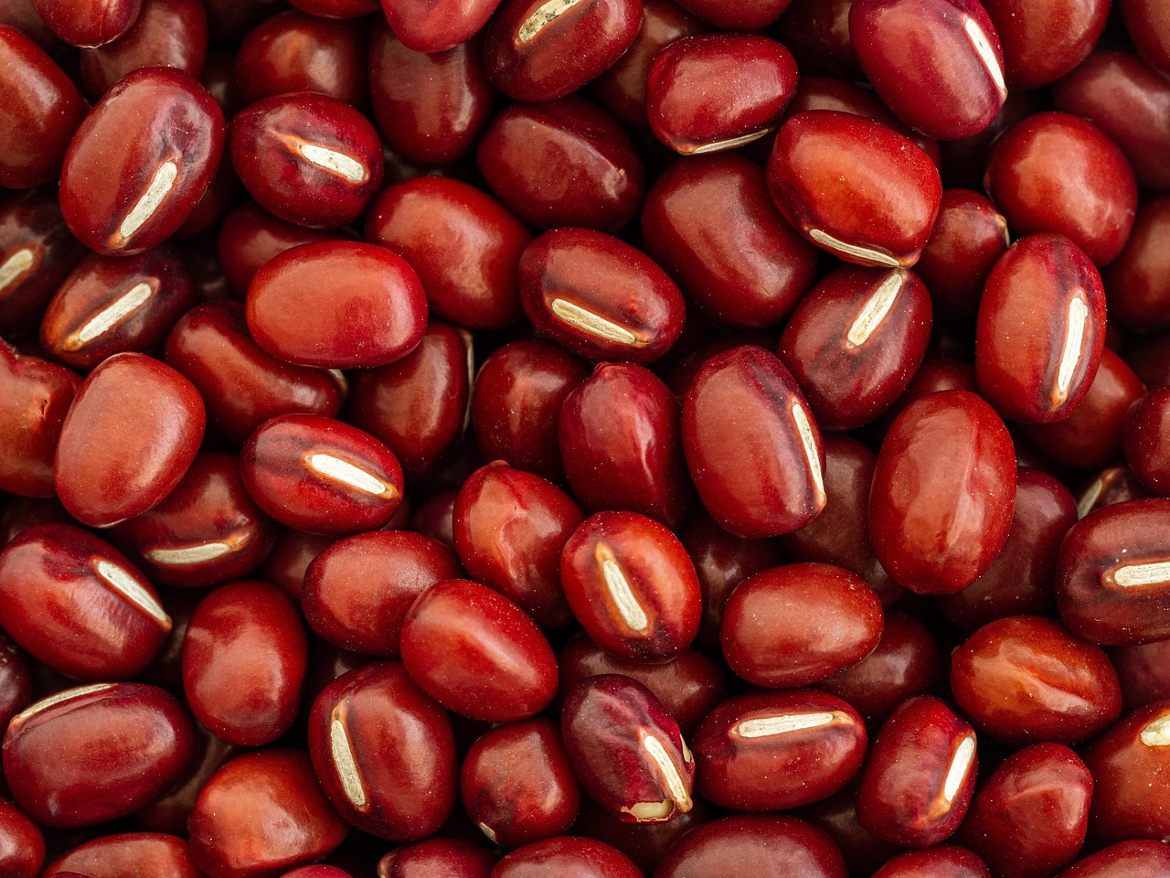 Adzuki Beans (image credits: pixabay)