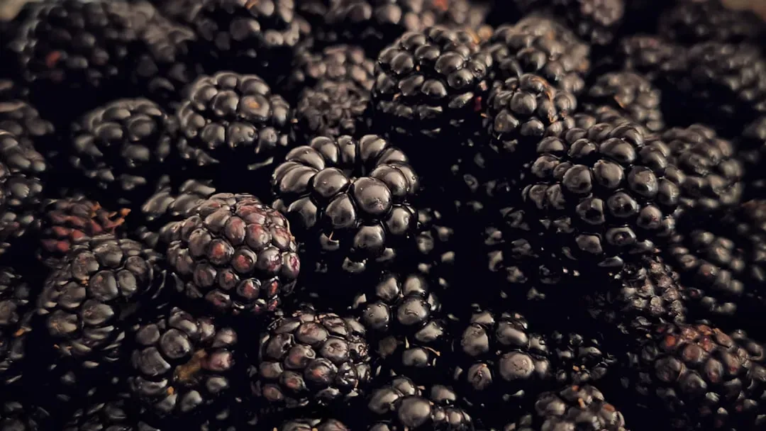 3. Blackberries: BDNF Boost and Memory Defense (Image Credits: Unsplash)
