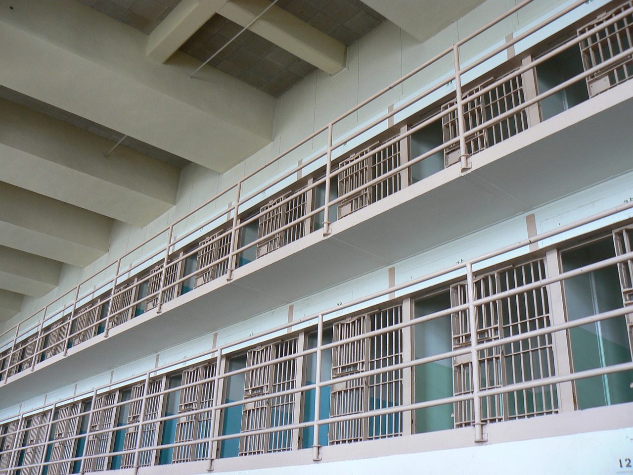 A Shocking Start Behind Bars (image credits: pixabay)