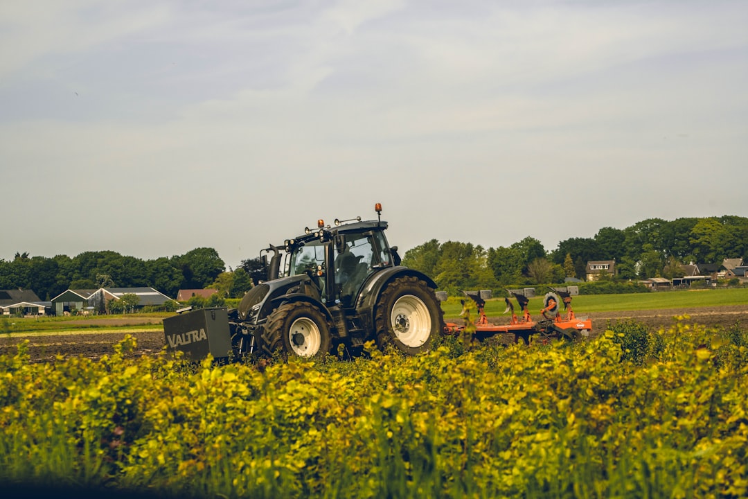 The Netherlands Champions Agricultural Innovation (Image Credits: Unsplash)