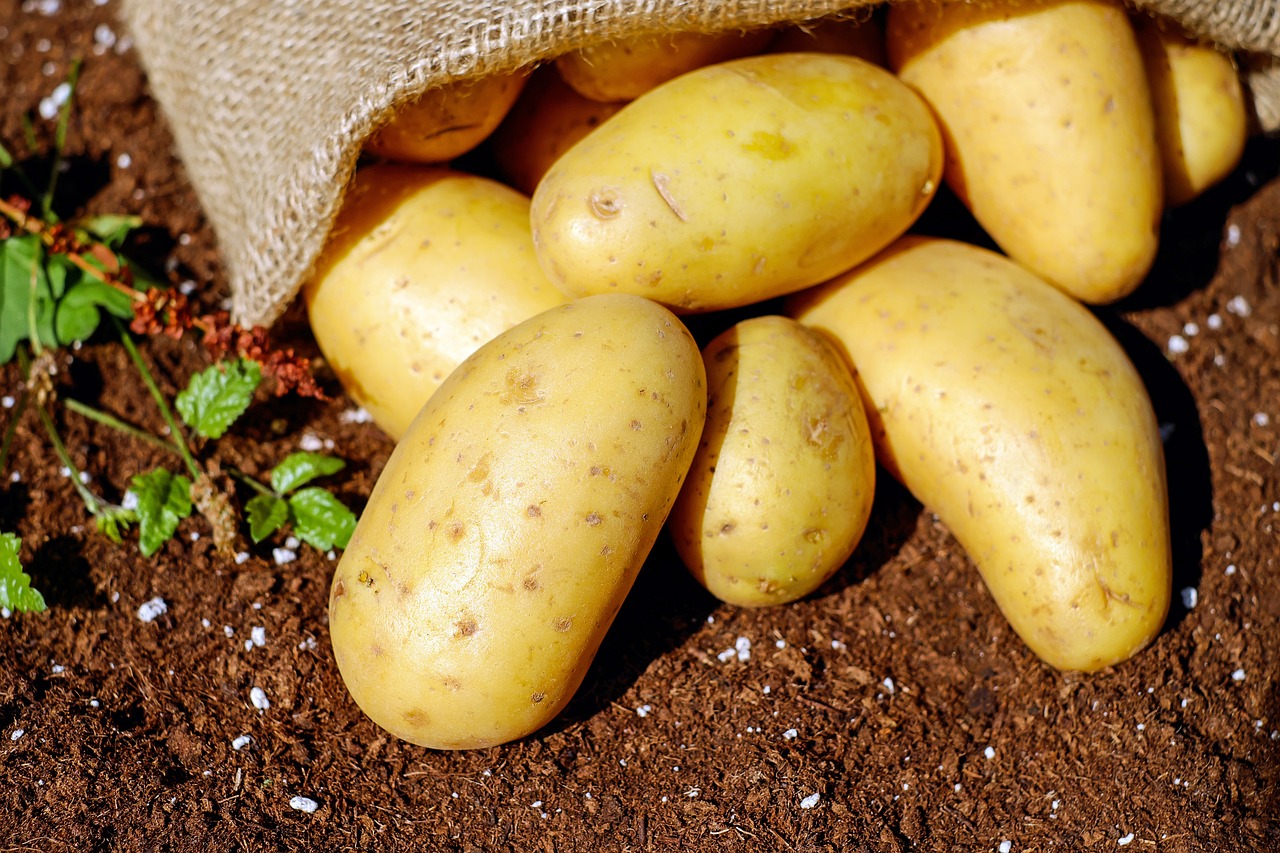 Choosing the Right Potatoes (image credits: pixabay)