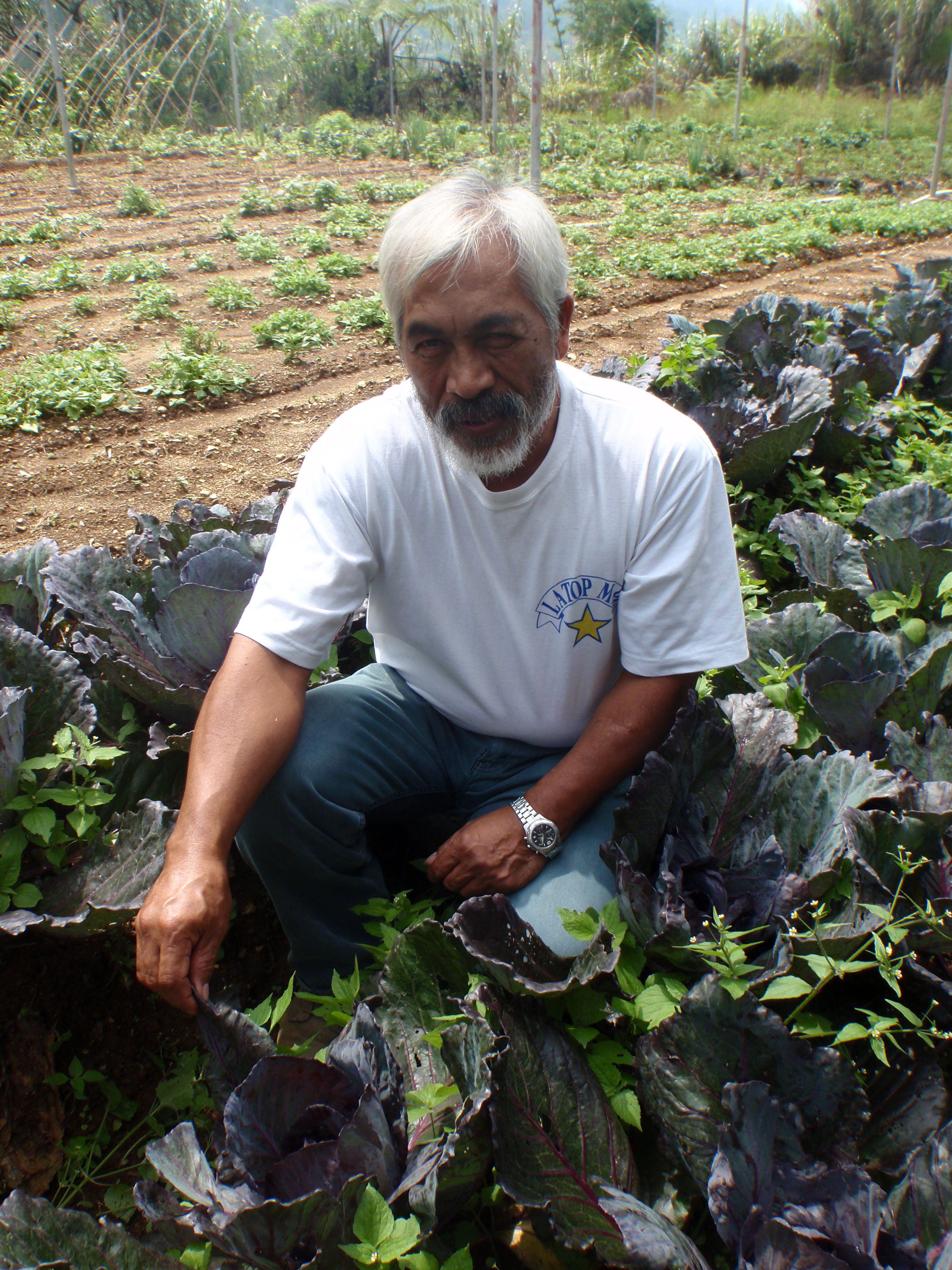 The Environmental Perspective (image credits: wikimedia)