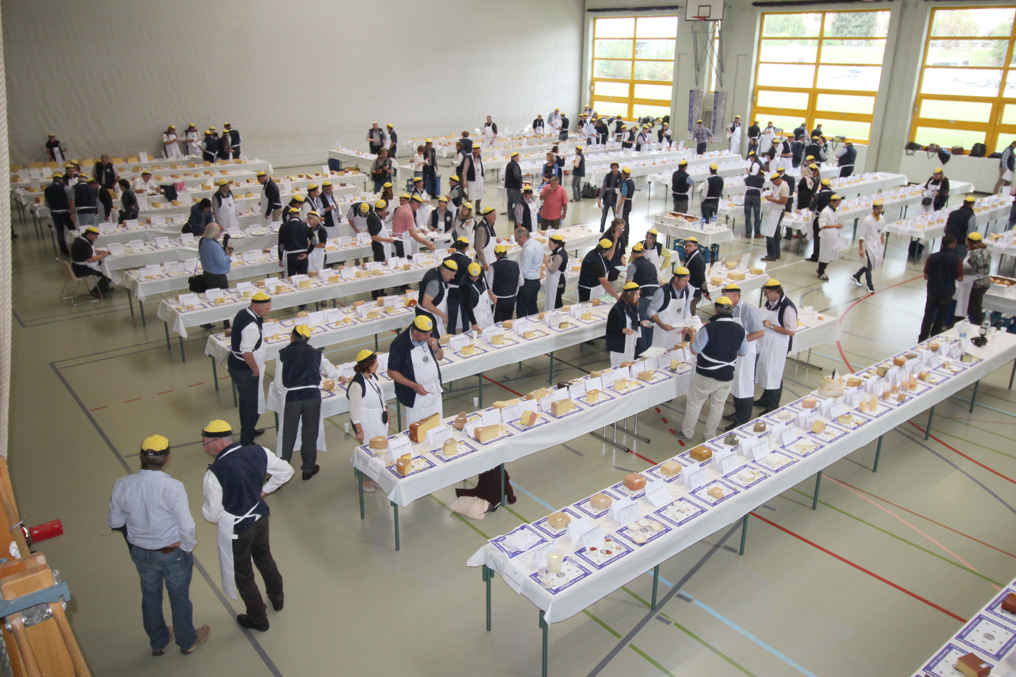 The Role of Education and Training (image credits: wikimedia)