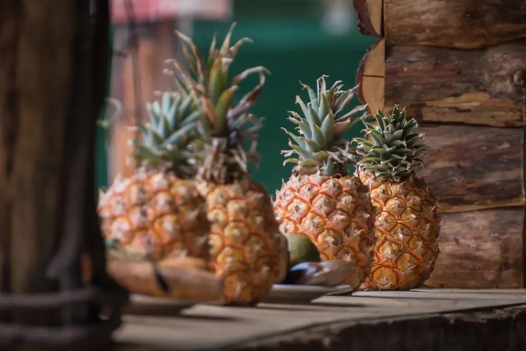 Where Is It Grown - and Who Controls the Supply? (kuhnmi, Flickr, CC BY 2.0)