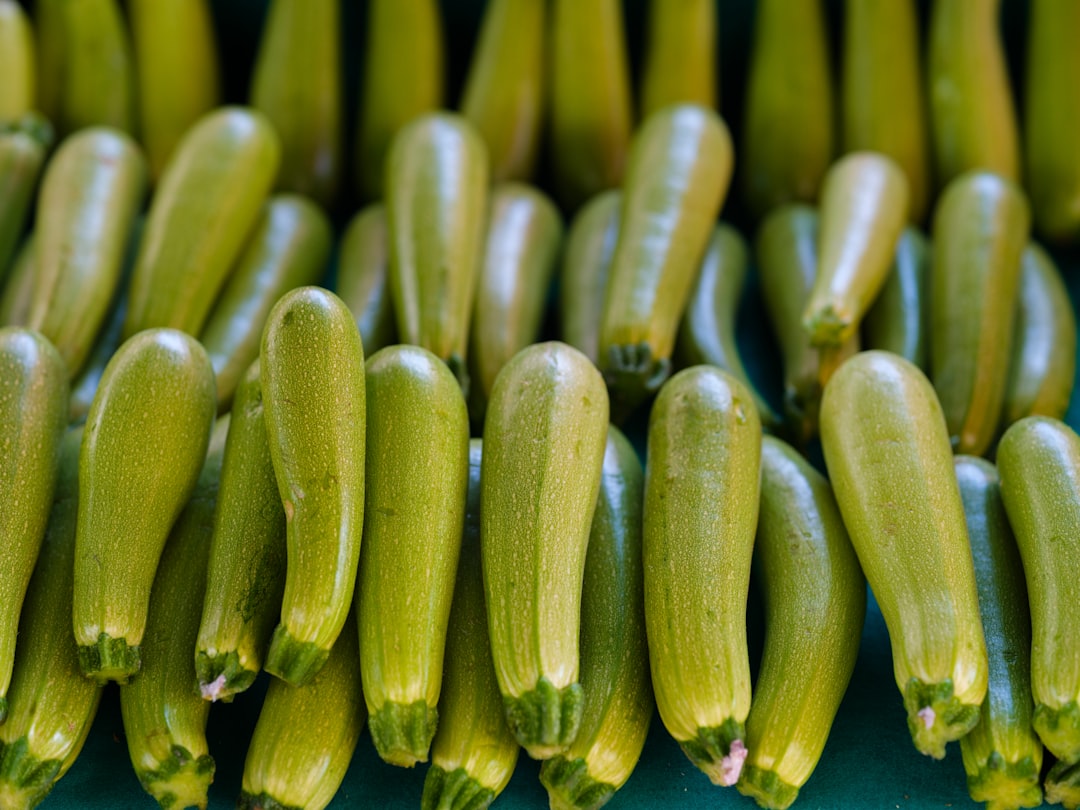 Zucchini: Versatile and Moisture-Rich (image credits: unsplash)