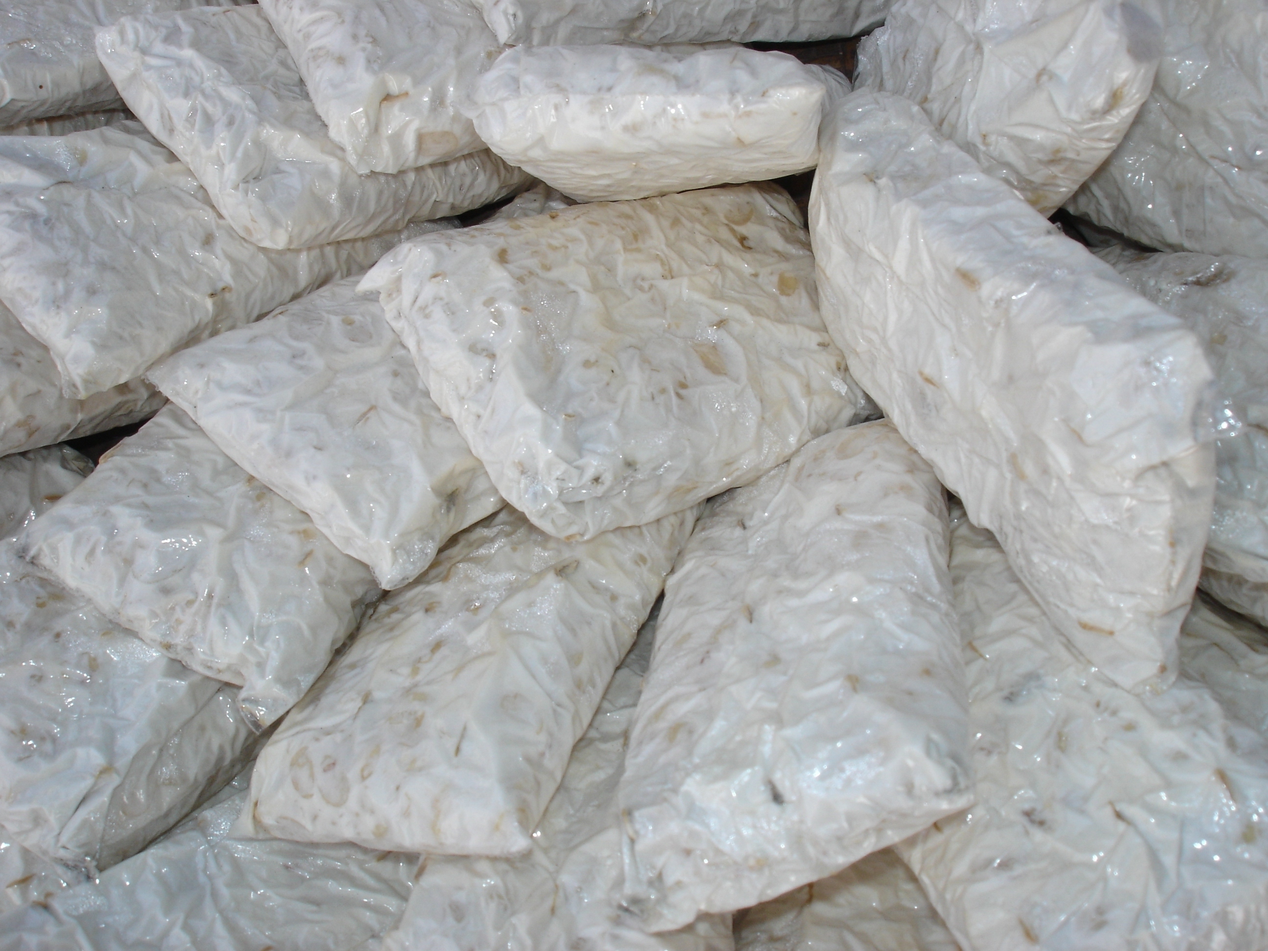 10. The Future of Tempeh (image credits: wikimedia)