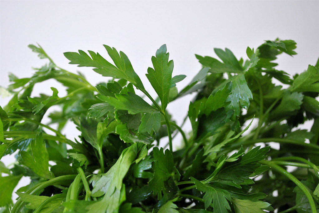 Parsley Packs a Punch (image credits: flickr)
