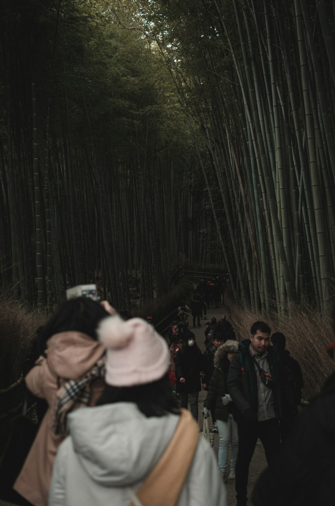Sustainable Tourism Initiatives (image credits: unsplash)