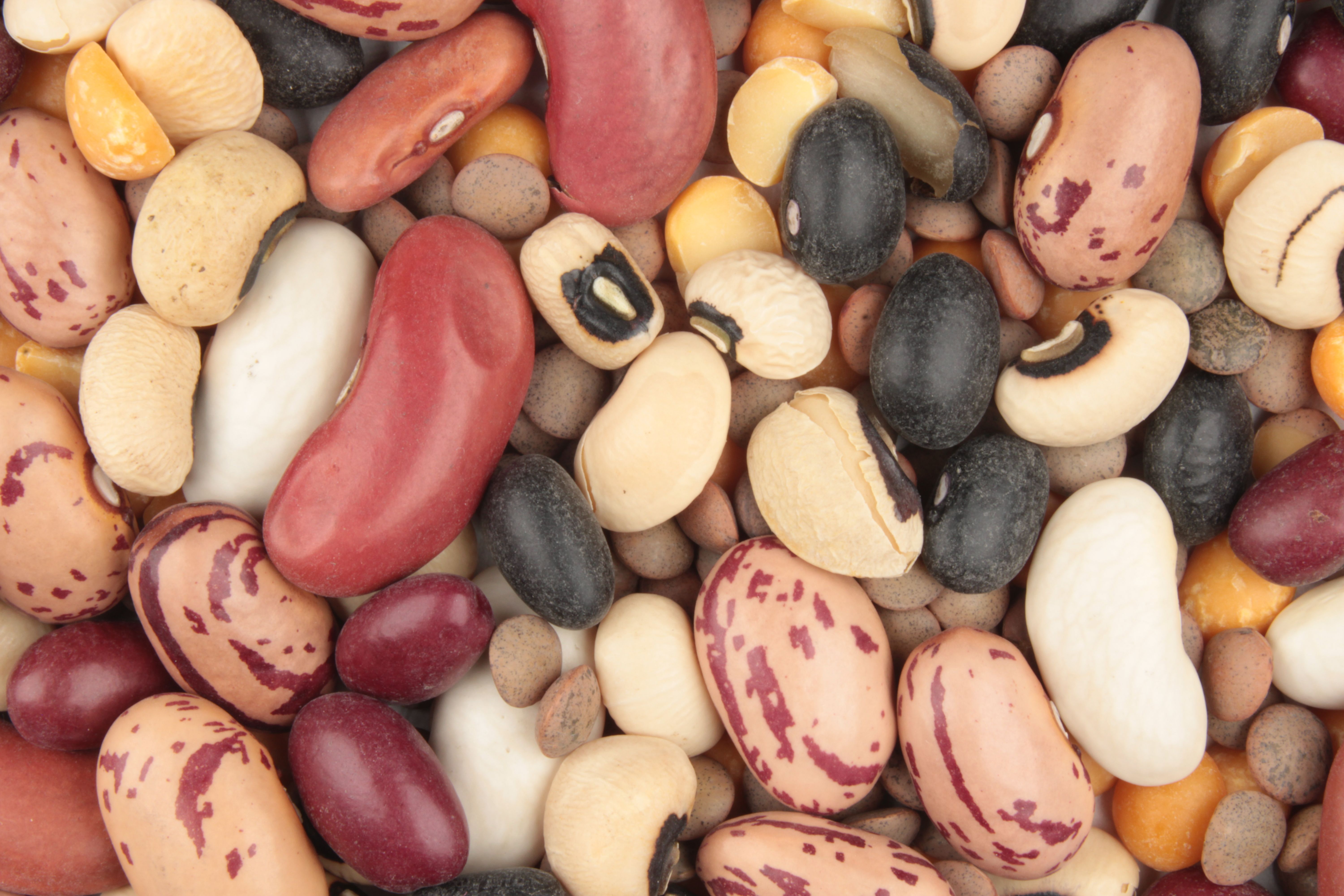 Rich in Antioxidants (image credits: wikimedia)