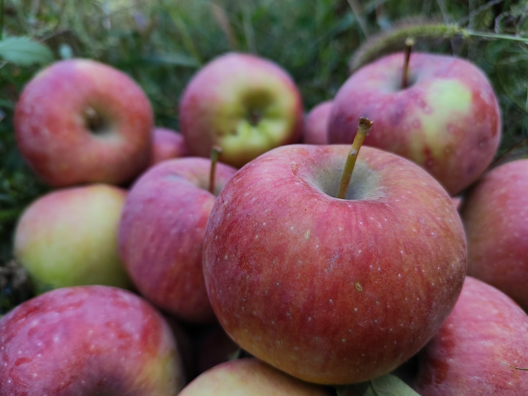 Apples (image credits: unsplash)