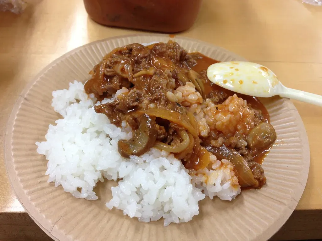 Beef Stroganoff (Image Credits: Flickr)