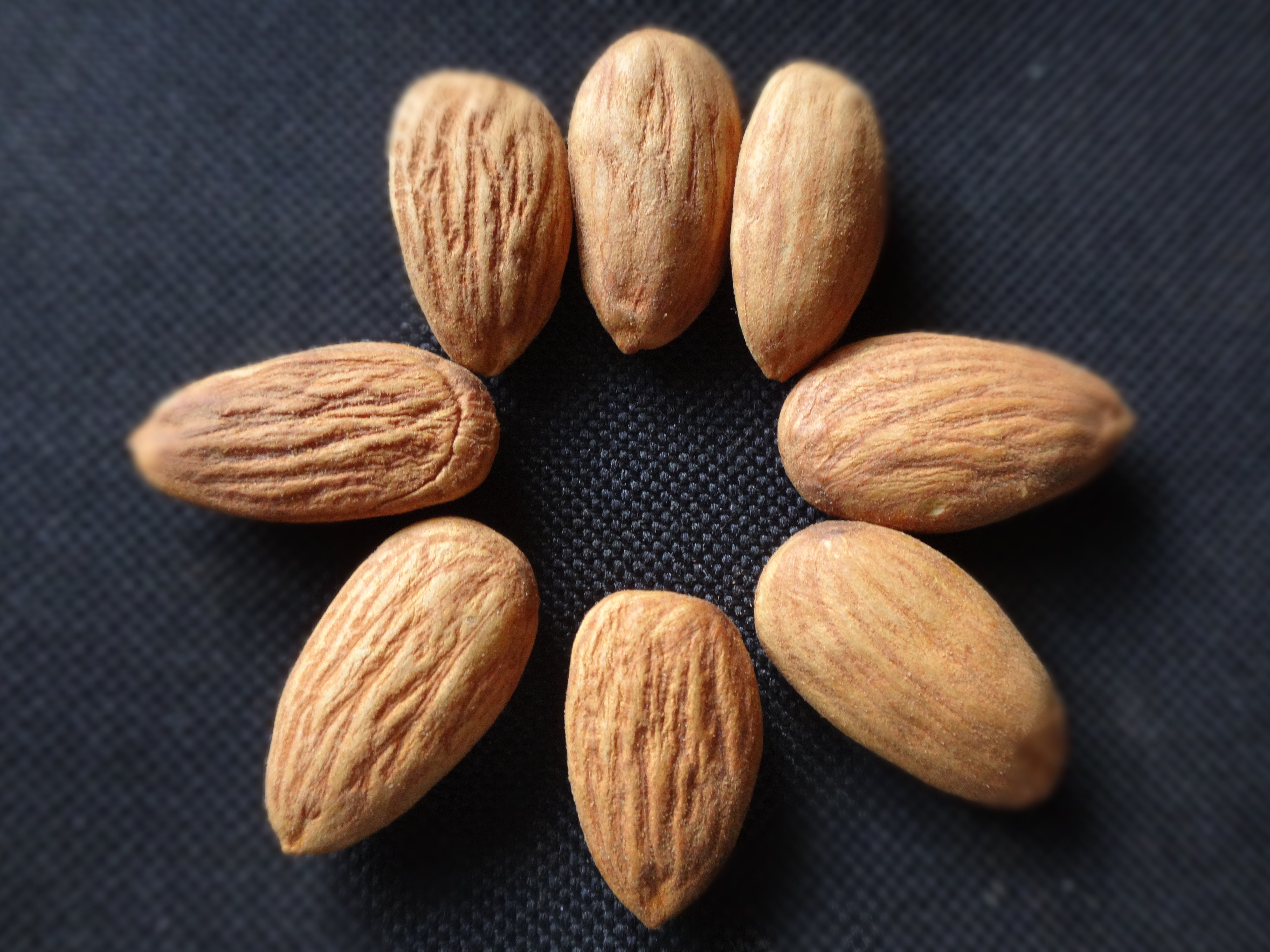 2. Almonds: All-Around Superstar for Health (image credits: wikimedia)