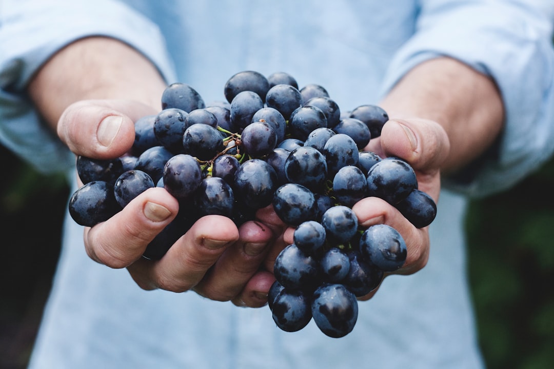 Grapes: Nature’s Candy (image credits: unsplash)