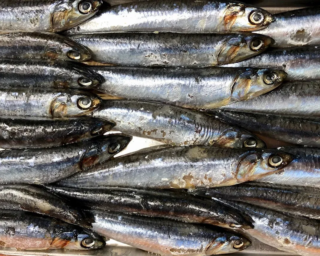 Seafood #1: Anchovies (The Purine Bomb You Add to Everything) (Image Credits: Unsplash)