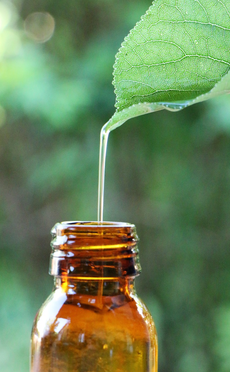 Oregano: Potent Essential Oils and Food Safety (image credits: pixabay)