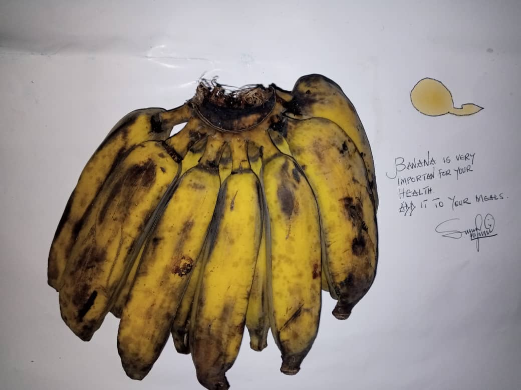 Bananas: The Breakfast Staple That Spikes Blood Sugar (image credits: wikimedia)