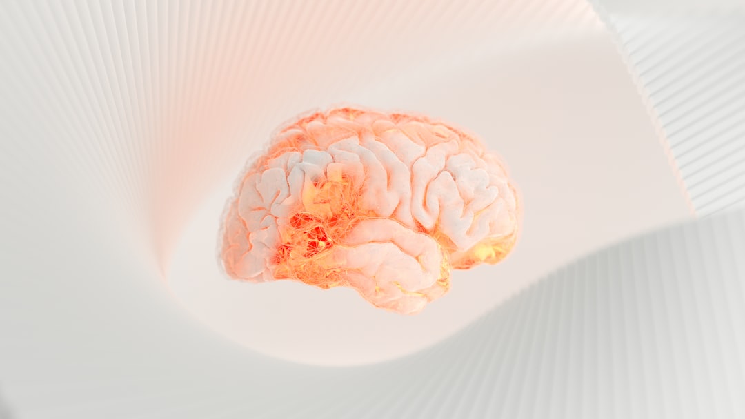 Your Brain's Emotional Appetite Control Center (image credits: unsplash)
