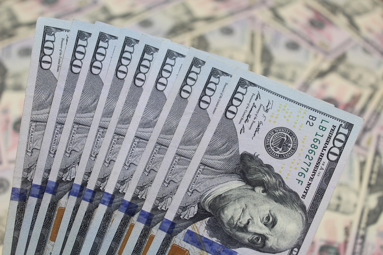 Government Aid and Subsidies: A Safety Net in Uncertain Times (image credits: pixabay)