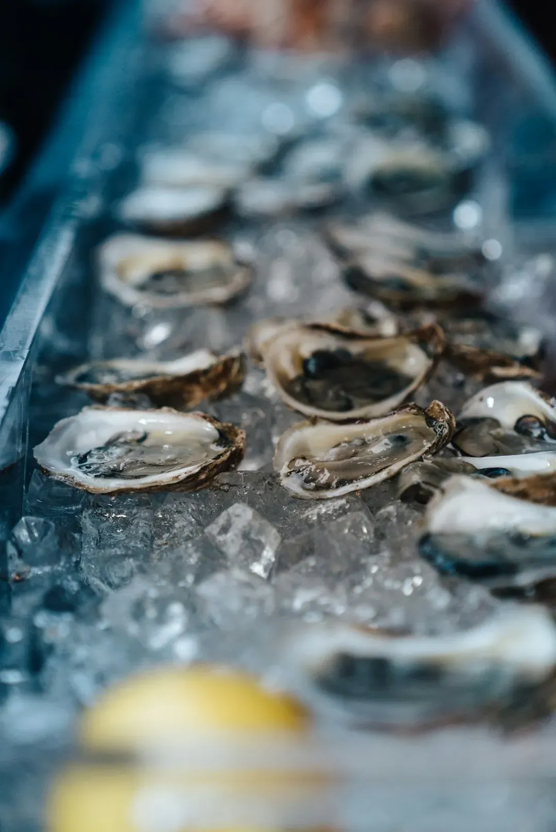 Raw Oysters: Playing Russian Roulette (Image Credits: Unsplash)