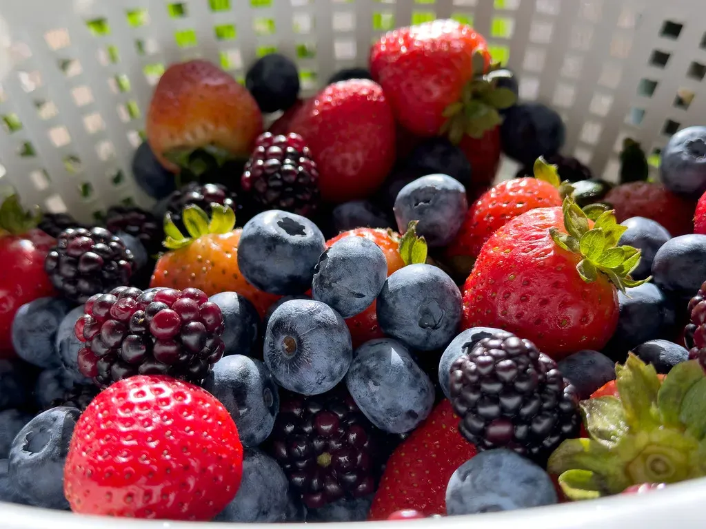 Blueberries: Small Berries With Outsized Research Support (Image Credits: Flickr)