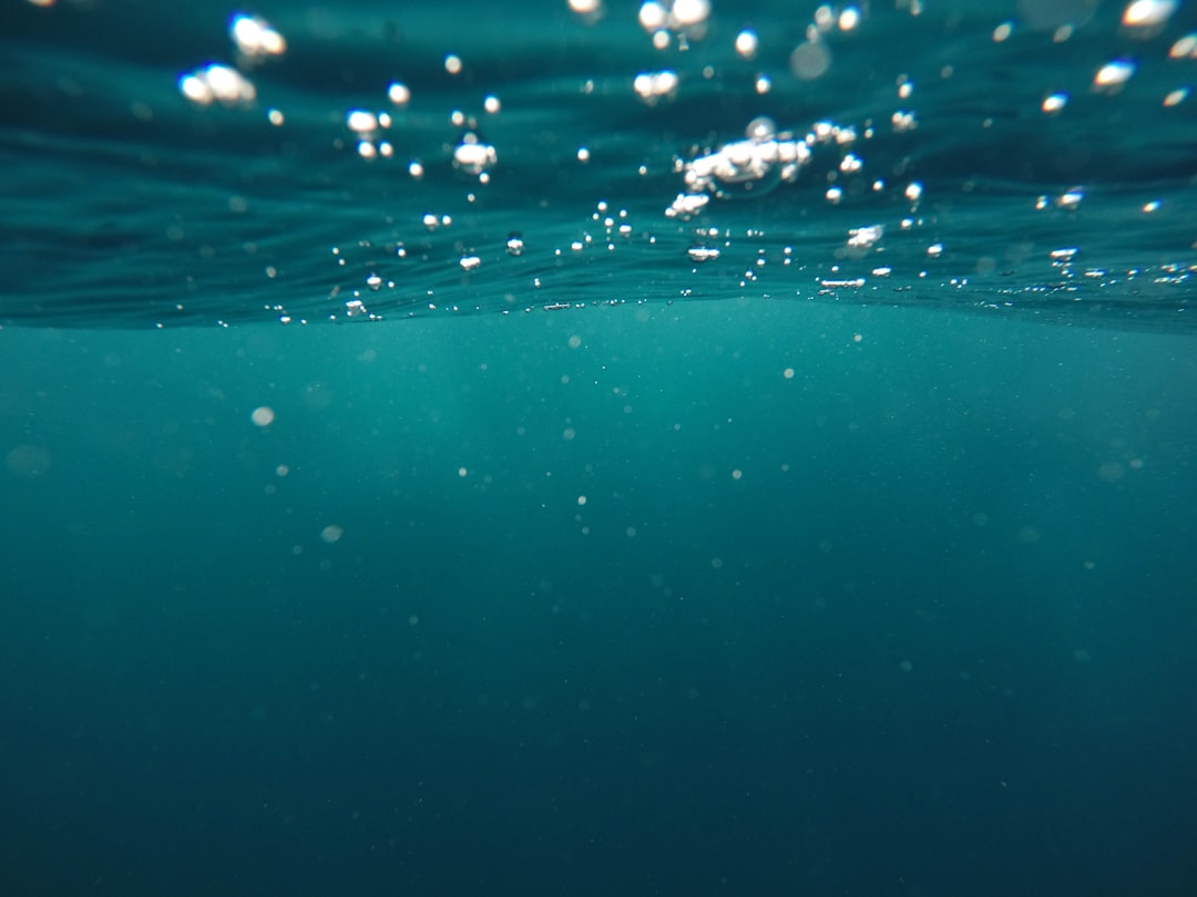 Swap Soda with Infused Sparkling Water (image credits: unsplash)