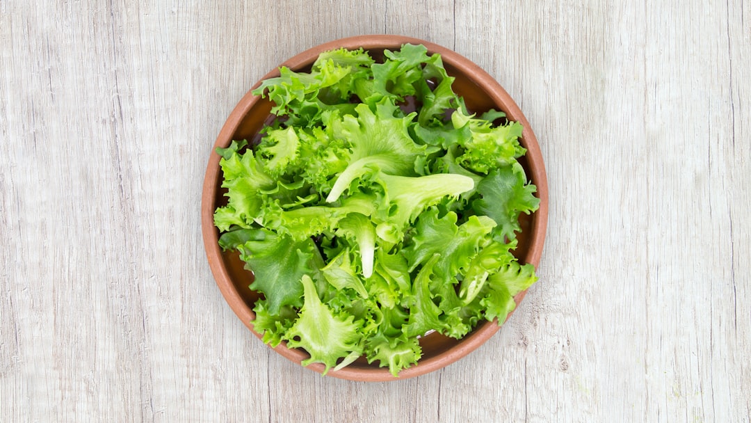Lettuce: The Leafy Hydration Hero (image credits: unsplash)