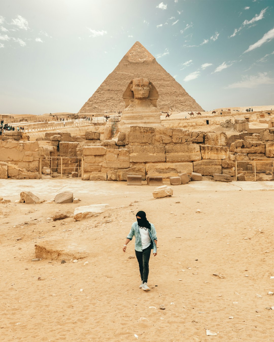 Egypt – The Pharaohs' Modern Plague (image credits: unsplash)