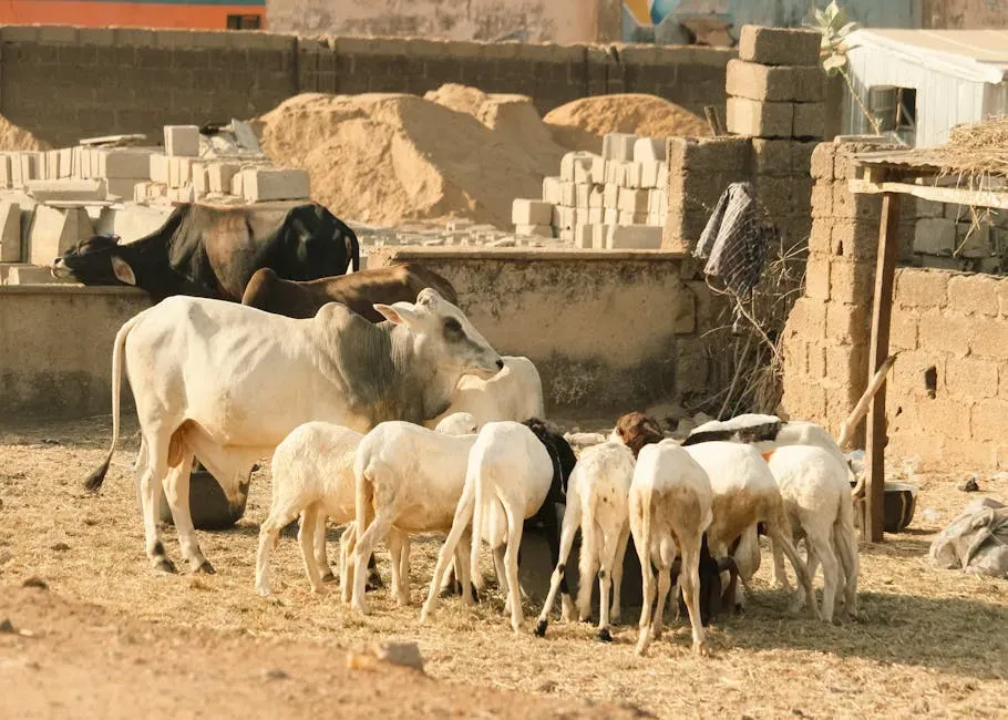 The One Category That Could Surge: Domestically Produced Proteins (Image Credits: Pexels)