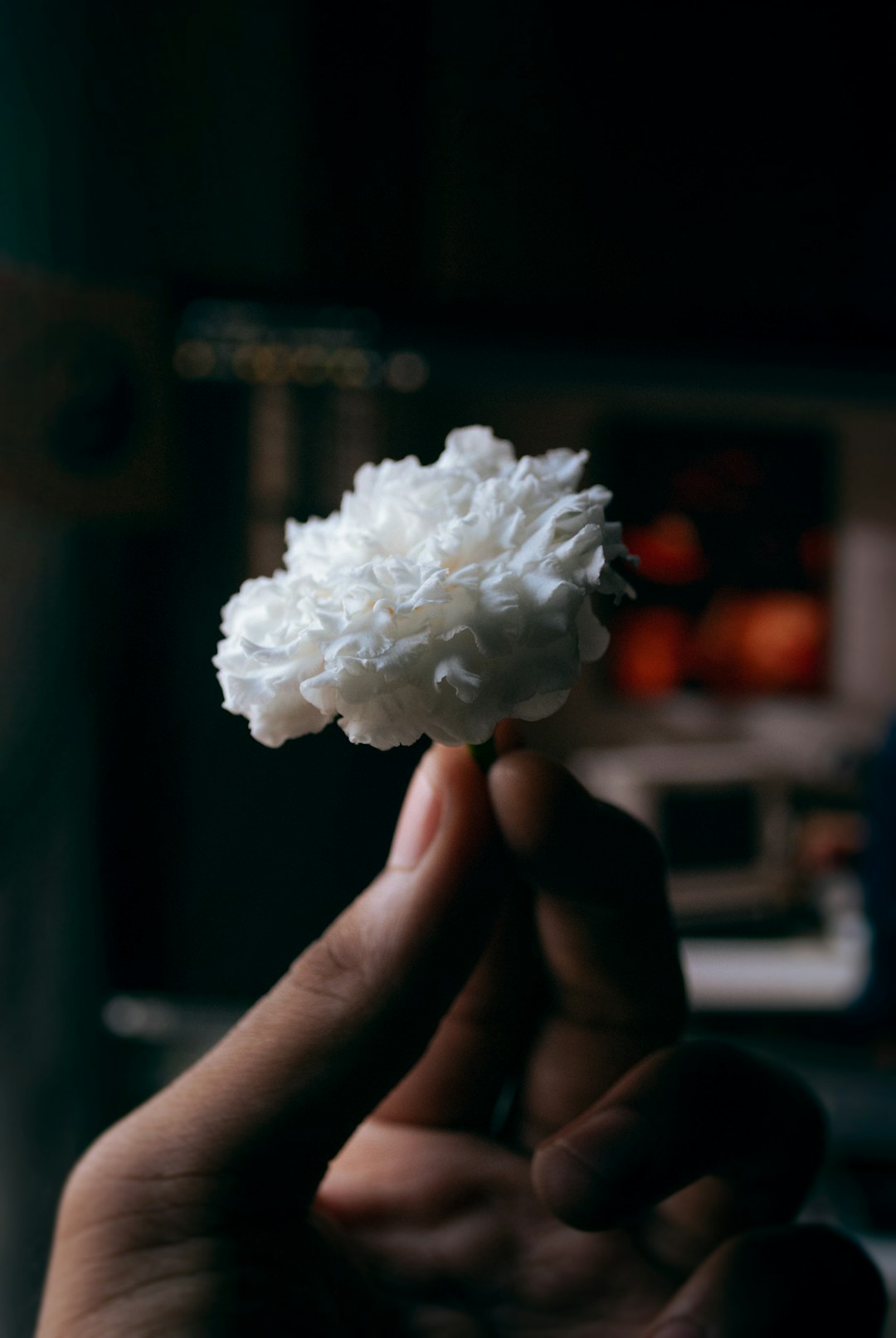 Where Is It Headed? The Future of 3D-Printed Foods (image credits: unsplash)