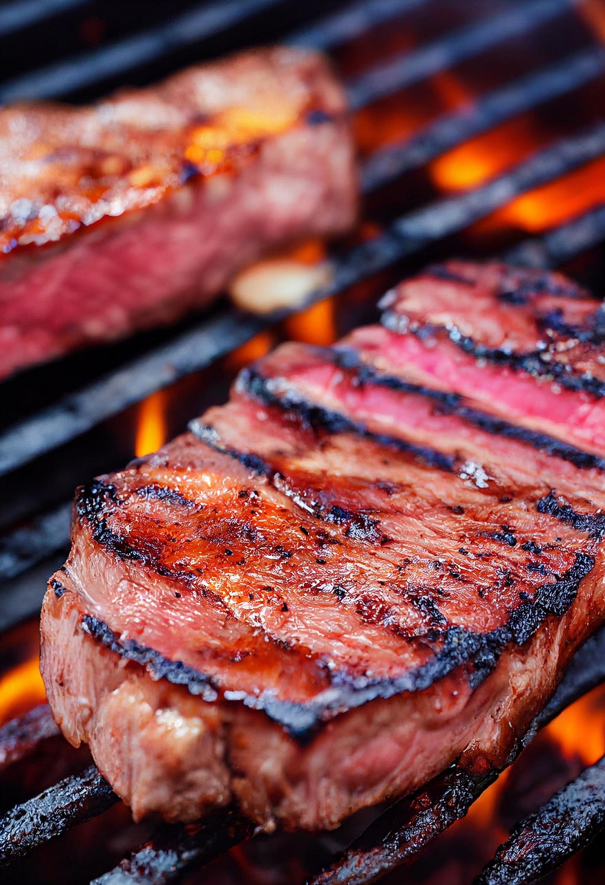 Grilled Red Meats (Steak, Ribs) (image credits: pixabay)