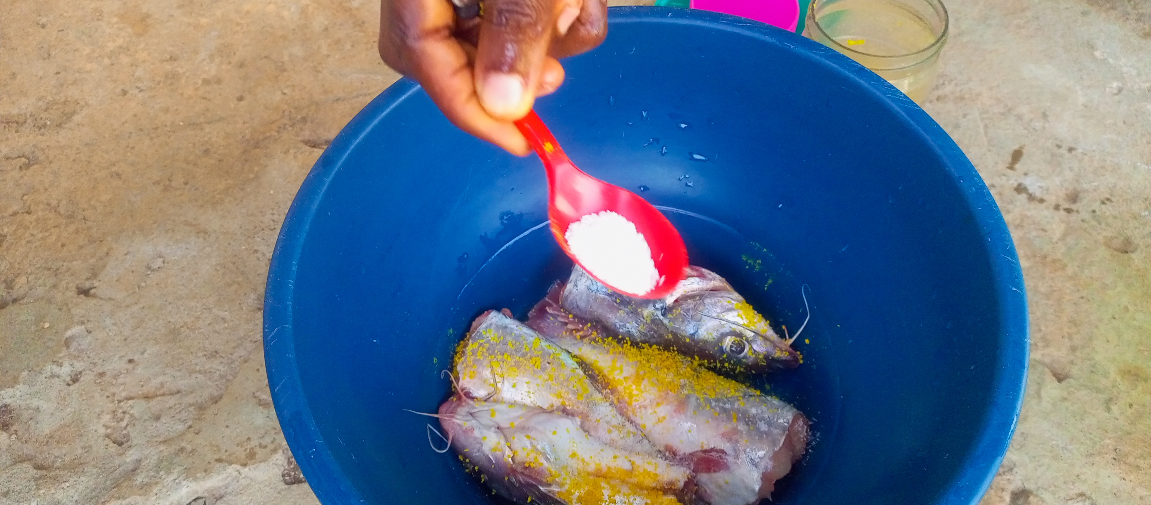 The Science Behind Salt and Flavor (image credits: wikimedia)