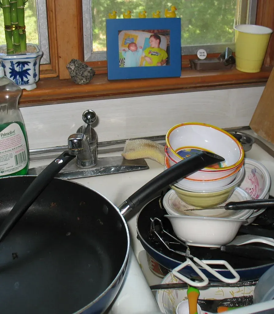 Your Dishwasher's Hidden Bacteria Problem (Image Credits: Flickr)