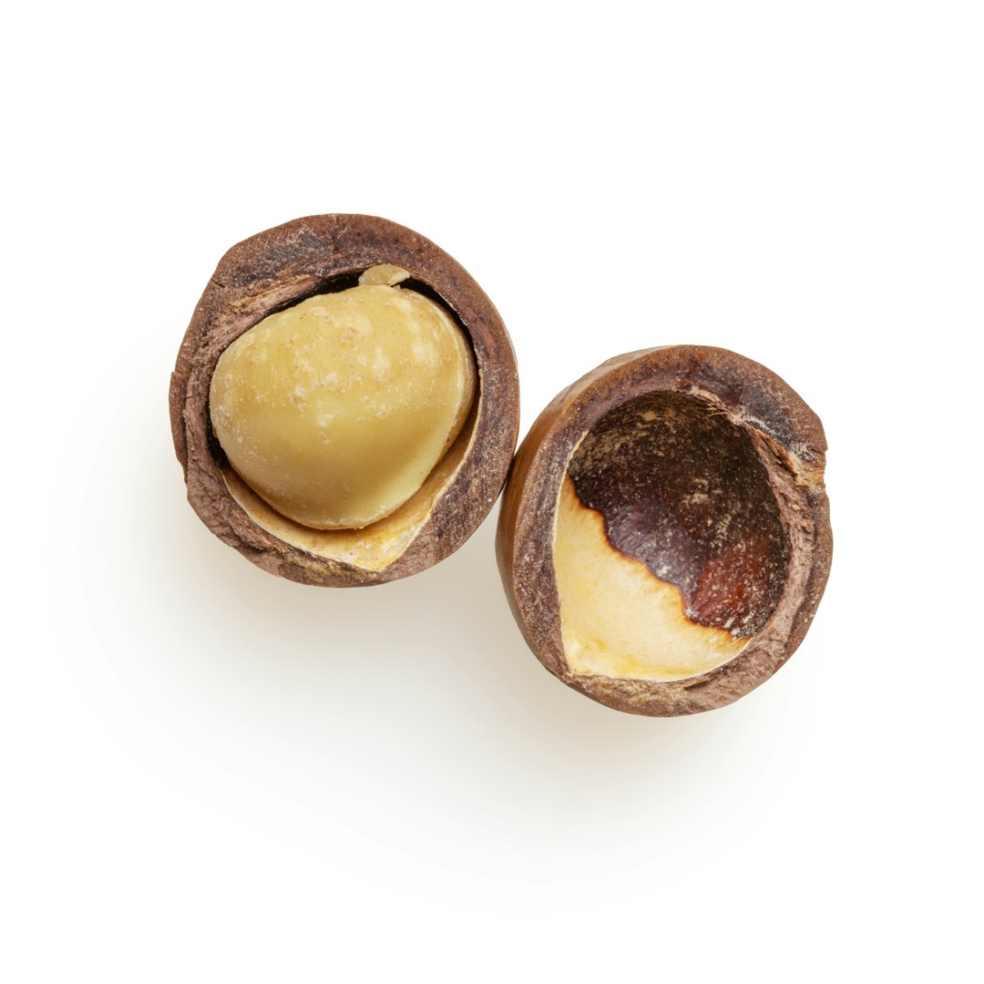 Macadamia Nuts (image credits: unsplash)