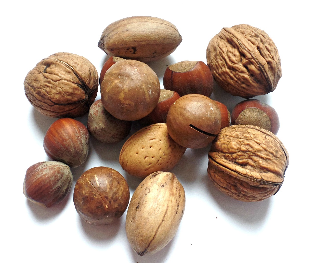 Brazil Nuts (image credits: pixabay)