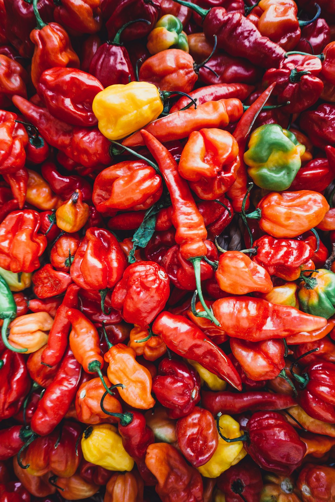 The Fiery Heart of Mexican Cuisine: Chili Peppers (image credits: unsplash)