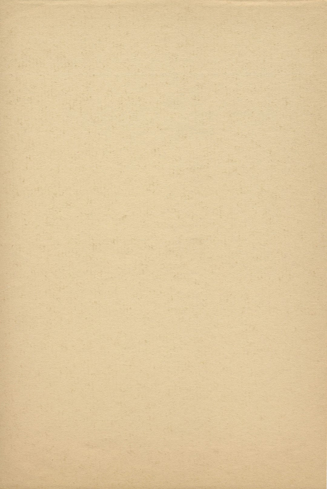 Pastry Bags and Parchment Paper: Unexpected Tariffs (image credits: unsplash)